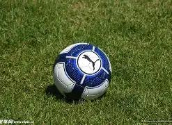 独家揭秘,七彩好运来,期双色球免,上海体彩,上海体彩网,上海体彩网官网,体育彩票,体彩大乐透,竞彩足球,体彩公益