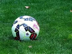 双色球马年,大放异彩,期独门秘籍,上海体彩,上海体彩网,上海体彩网官网,体育彩票,体彩大乐透,竞彩足球,体彩公益