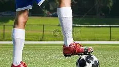 上海体彩网 资讯 102425 zu3