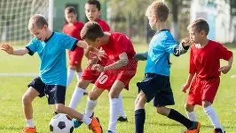 【神秘彩坛秘籍】揭秘2026012期双色球，独家精准12红2蓝预测，彩民必备多年精华！