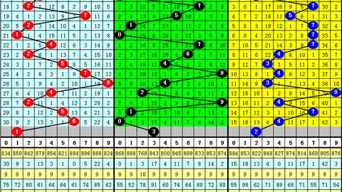 老杨3D大乐透期号解析：458质合推荐