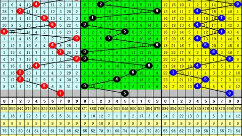 2026083期排列5号码走势及专家推荐分析